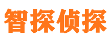 山阳外遇调查取证